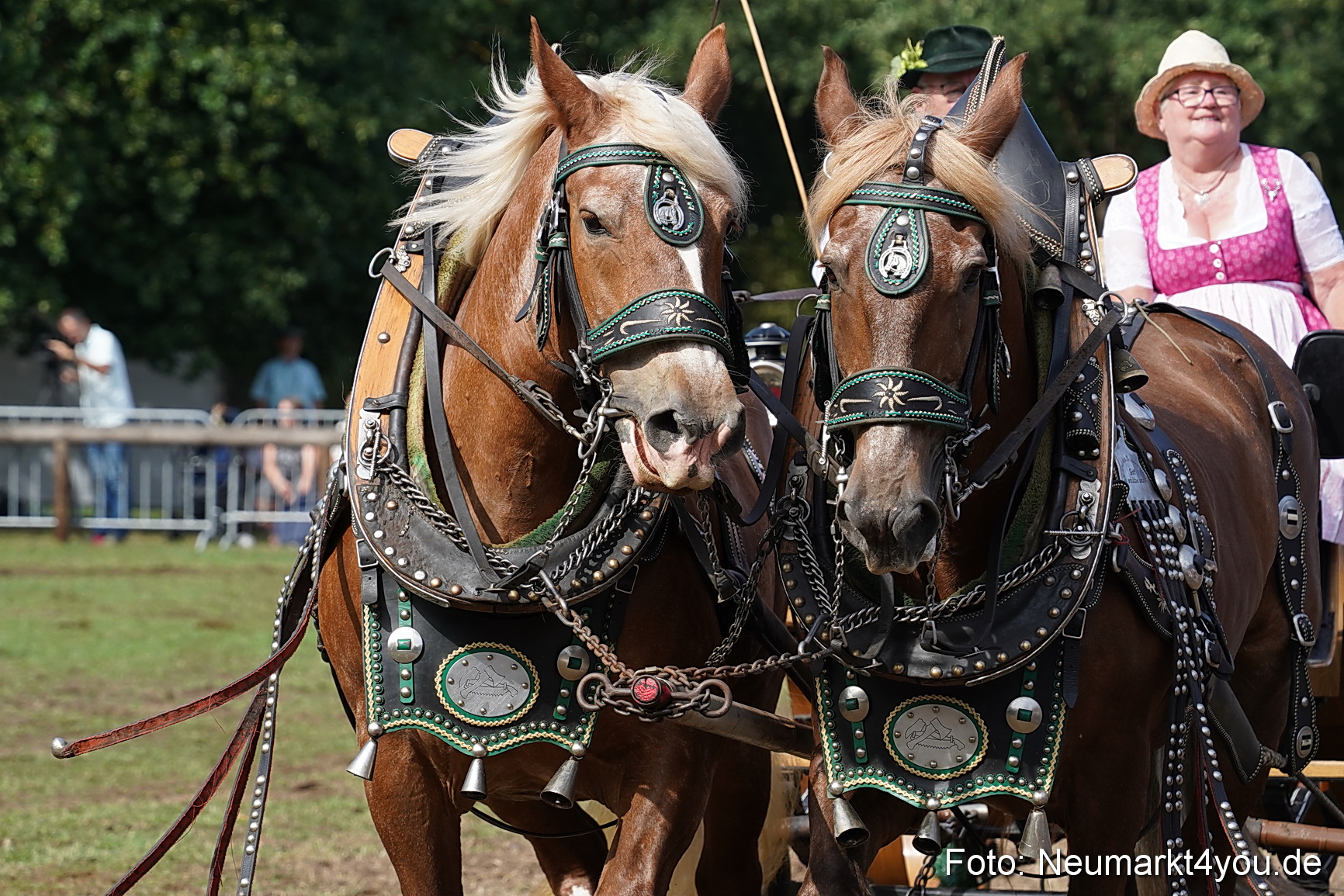 Pferde und Fohlenschau 2022 0230 